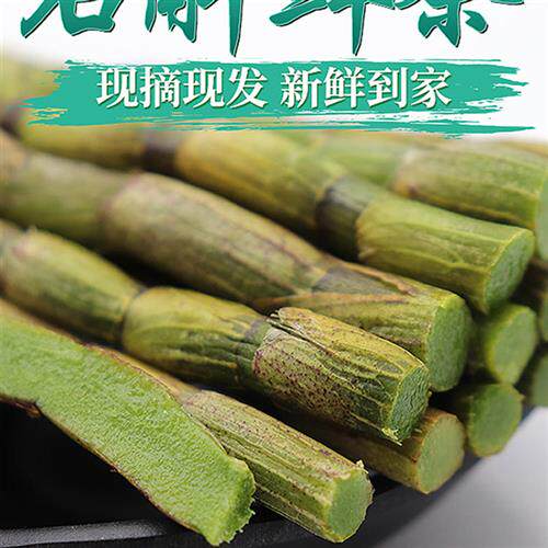 正宗雁荡山铁皮石斛鲜条500g乐清五年生新鲜石斛条浙江安徽中药材