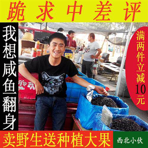青海野生黑枸杞正宗柴达木构杞子茶100g诺木洪正品大果非特级免洗