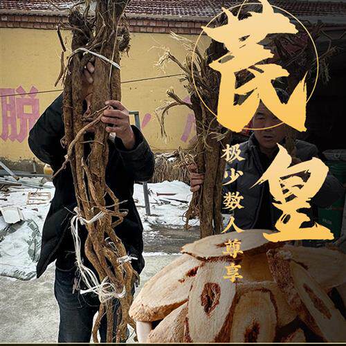 纯野生黄芪切片500g特级甘肃无硫正宗干货泡水中药材补黄耆北芪气