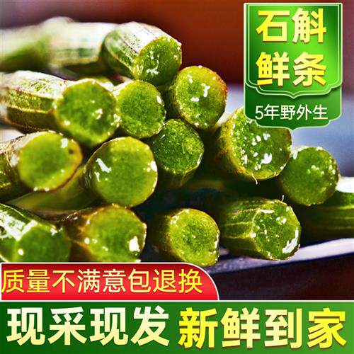 正宗普山堂乐清五年生新鲜铁皮石斛鲜条官方正品500g非霍山云南产