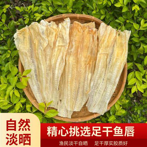 足干大鱼唇皮 佛跳墙材料鲨鱼皮沙鱼皮干货煲粥鲜美 海鲜海产品干