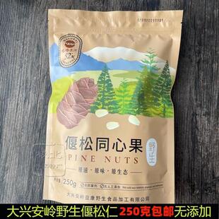 大兴安岭松子仁野生偃松同心果 马尾松仁偃松仁250克东北特产包邮