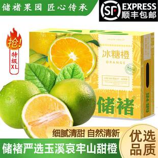 【特级XL】正宗云南储褚冰糖橙子早橙官方旗舰店9斤礼盒装顺丰