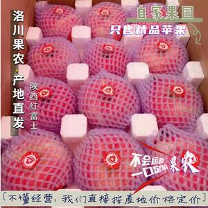 特级精品只发精品陕西正宗洛川苹果冰糖心新鲜红富士产地直发