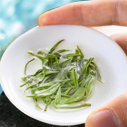 2025新茶信阳毛尖茶叶炒青高山绿茶明前春茶嫩芽礼盒500克送长辈