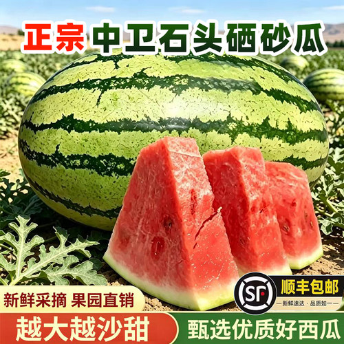 宁夏中卫硒砂瓜石头地西瓜沙瓤脆甜多汁