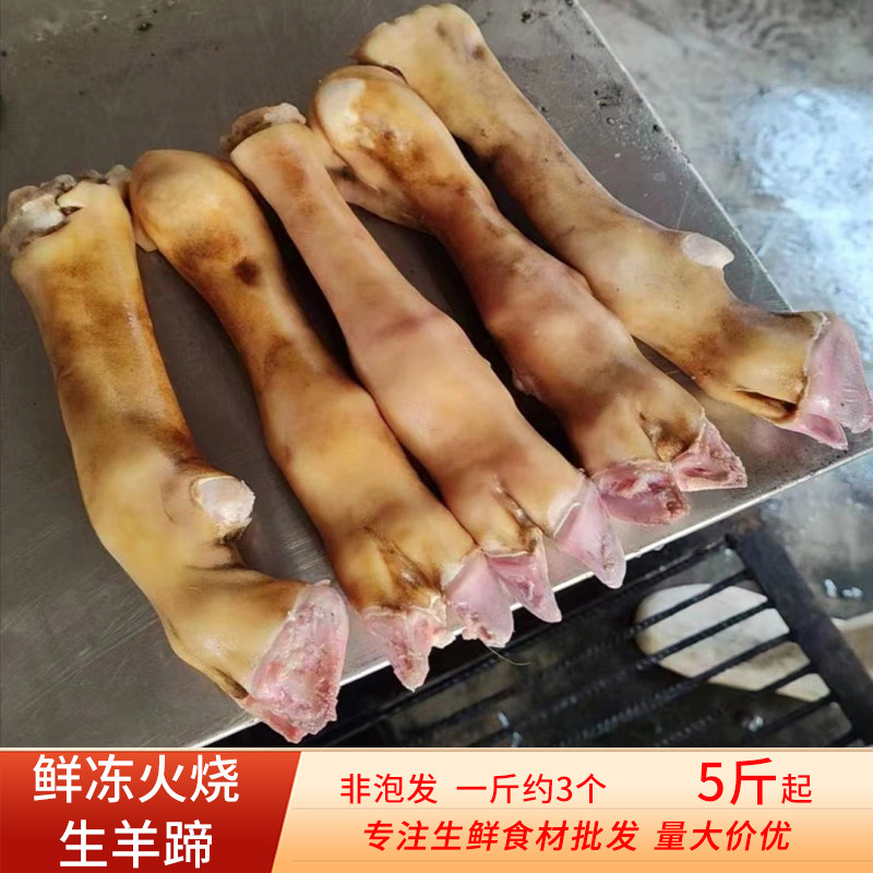 新鲜火烧羊蹄子清真散养带筋带骨生羊脚蹄商用生鲜冷冻食材