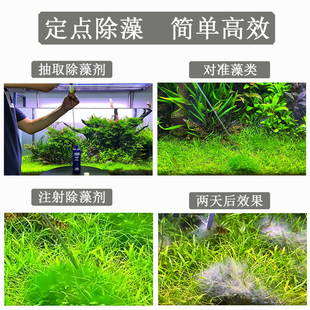 水草打肥器黑毛戊二醛52点射除藻剂液肥追肥器水族加长针管长针头