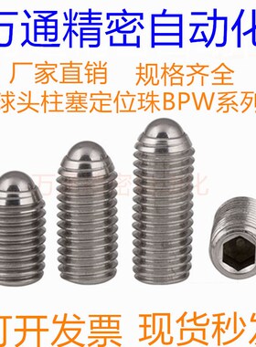 球头柱塞替代米型BPW3 BPW4 BPW5 BPW6 BPW8 BPW10/12/16 定位珠