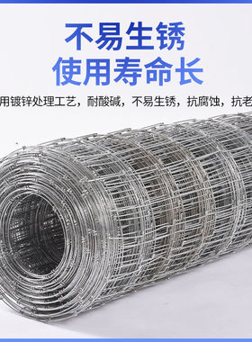 热浸镀锌铁丝网防锈养殖围栏网牛栏网圈地拦牛羊果园钢丝防护网