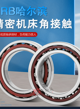 哈尔滨精密机床轴承15TAC47B 17TAC47B 20TAC47B 25TAC62BP5 P4