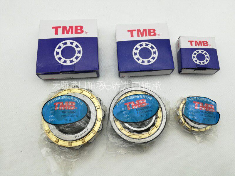 国产TMB天马减速机轴承 RN205 RN206 RN307M RN308 RN309M RN312M