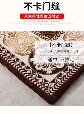 进门地垫家用入户门垫子客厅门垫卧室门口脚垫浴室防滑垫定制地毯