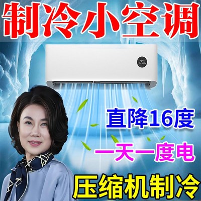 冷暖两用迷你压缩机制冷小空调家用二合一一体机免安装.超省电空