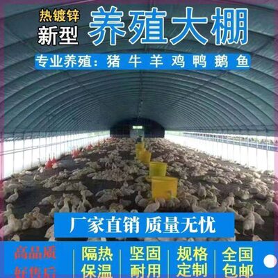 养殖大棚全套养鸡大棚鸡舍猪棚牛棚羊棚鸭棚鹅棚温室蔬菜大棚全套
