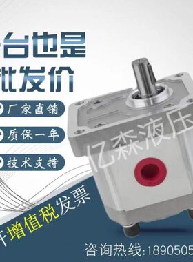 BONDIOLI齿轮泵HPLPA322/326/331/336/341/347/351/356D21E8E81S