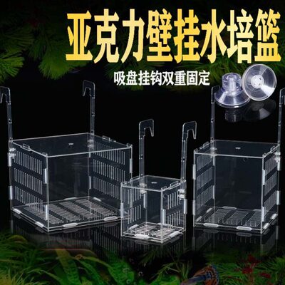 鱼缸水培植物固定架壁挂水培器皿定植篮亚克力花盆定植蓝加深水草