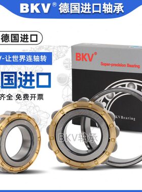 德国BKV进口圆柱滚子轴承N 304 305 306 307 308 309 310 311M