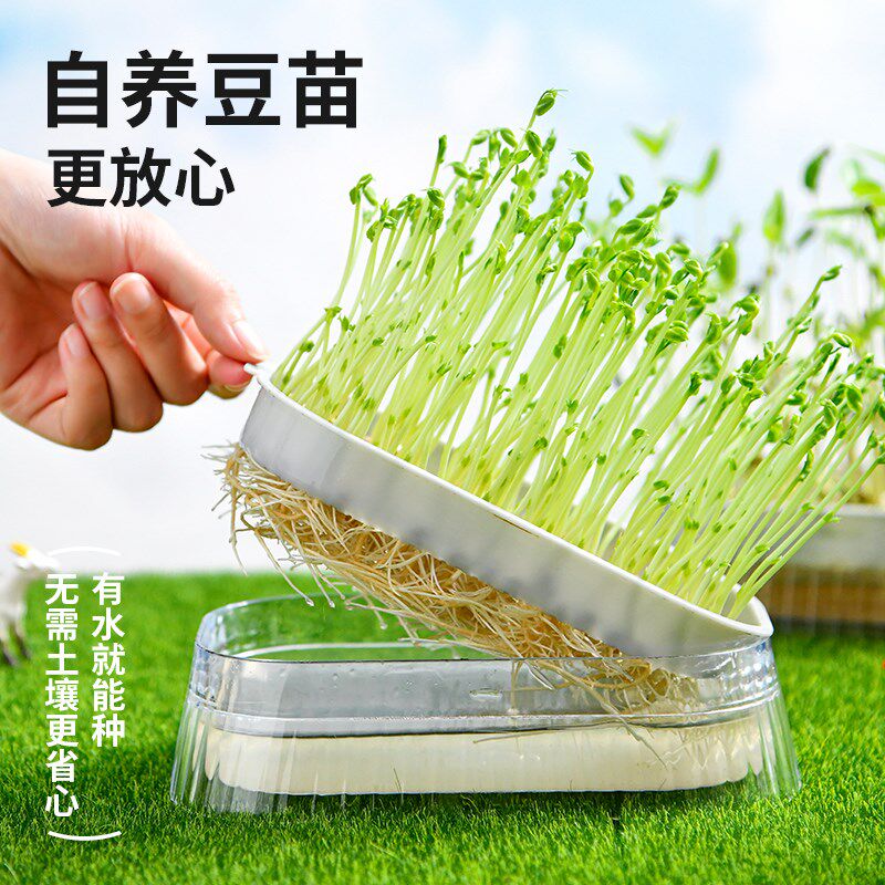 日本豆芽发芽盆无土栽培豆苗水培蔬菜设备苗菜育苗托盘猫草种植