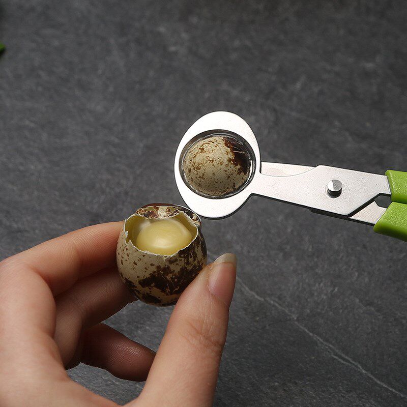 鹌鹑蛋剪刀 鸟蛋剪刀 不锈钢剪蛋器 切蛋器 蛋壳切割器 开蛋器