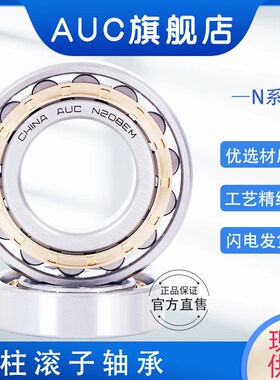 圆柱滚子轴承N304 N305 N306 307 308 309 310 311 312 313 314EM