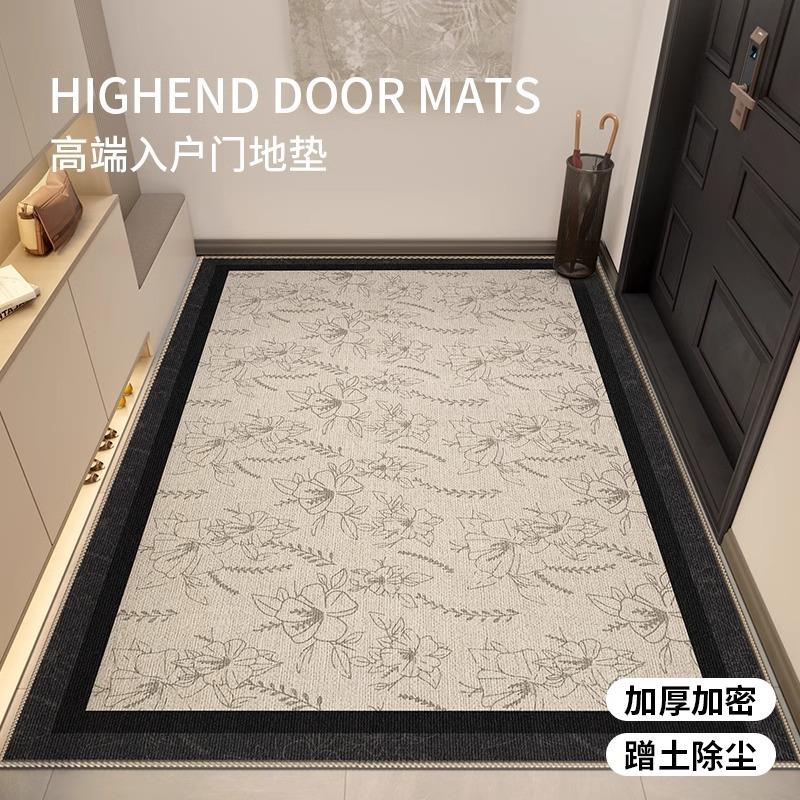 入户地垫门口进门入户门脚垫2025新款高级感玄关免洗可擦耐脏大门