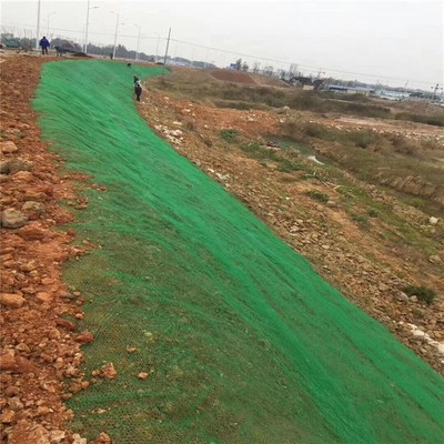 护坡挡土铁路公路m坡面防护植草园林绿化三维植被网工地防尘覆盖