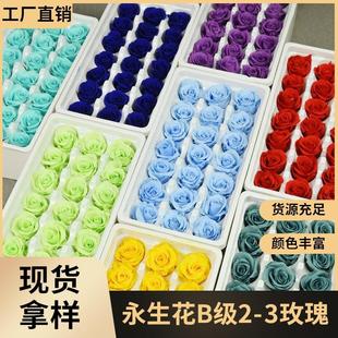 幻花永生花B级2-3玫瑰花材干花摩天轮玻璃罩七夕diy花头材料