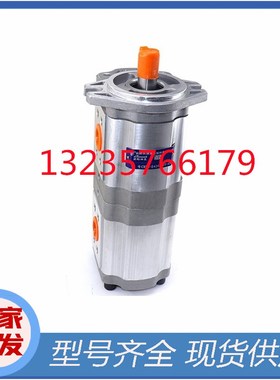 CBWL-E310/E306-CFP/CFPL/CFH/CFHL/CFZ/CFZL合肥HCHC长源齿轮泵