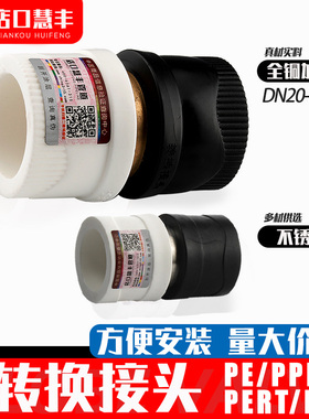 PE转PPR铜转换接头25双熔20热熔32PB63水管配件管材PRET不锈钢4分