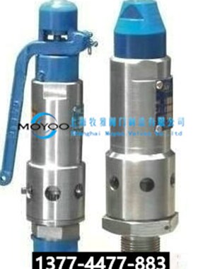 船用 空气瓶安全阀 M22*1.5 G1/2 M27*1.5 G3/4 可定制 2.5MPA