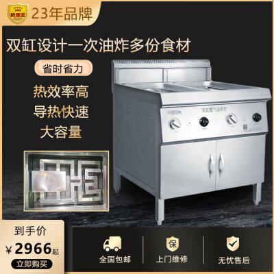 折源王节能立式电炸炉环保多功能大容量燃气多功能商用