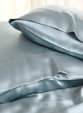 25/30姆米双面加厚重磅真丝枕套100桑蚕丝夏R季丝绸枕头套单个价