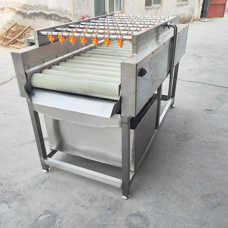 平行式毛辊清洗机生姜清洗去皮机橘子除蜡清洗机毛辊清洗机