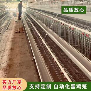 阶梯式蛋鸡笼三层镀锌蛋鸡笼层叠蛋鸡笼蛋鸭笼养殖场自动化蛋鸡笼