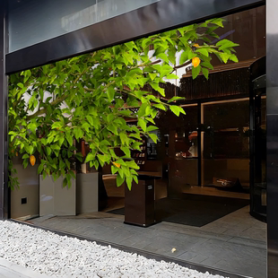 艺术橱窗绿树枝玻璃贴纸落地窗绿植氛围森林咖啡店酒吧植物树枝贴