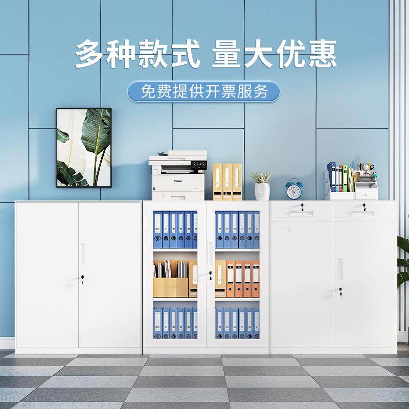 办公室落地矮柜铁件皮文柜带锁矮柜地档案收纳柜对开资料柜制储物