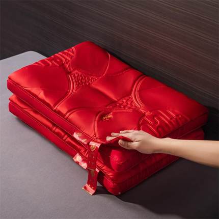 025新2中款新式乳胶婚礼庆枕结婚陪嫁枕头婚房送11111枕芯一对厂