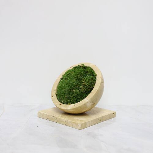 欧式简约天然黄洞石花器苔藓景盆多肉绿植花盆客厅玄关酒店样板间