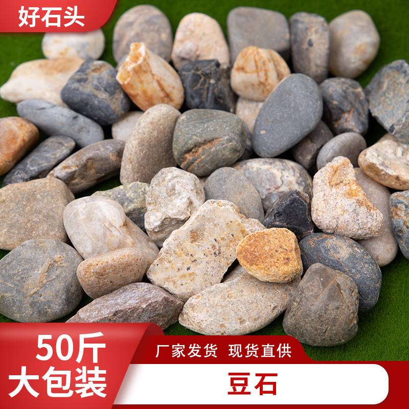 豆石天然鹅卵石回填地暖鱼缸布景石头沼泽过滤石滤料石材沙石室内
