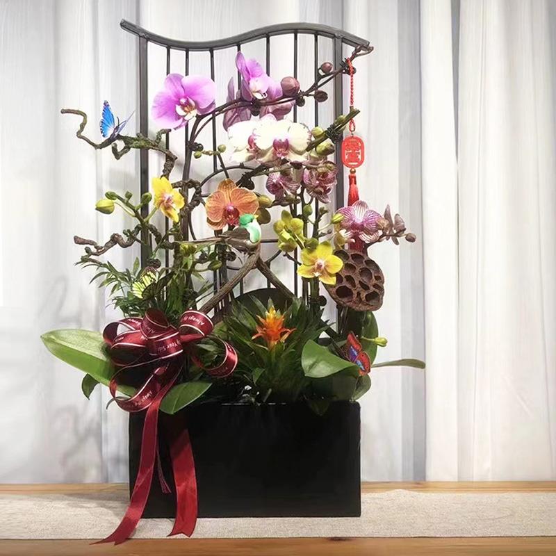 祥云新中式蝴蝶兰架仿真植物花盆花约简轻奢年宵花盆摆无品牌/件