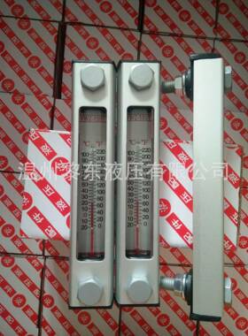 FL659滤221 12250231 926876 SAB.1562.10.NPT 934331液934331位