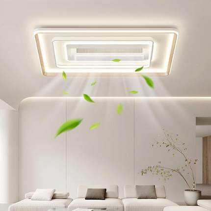 无风扇灯21LED吸顶灯205新款客厅2灯简约现代大叶气卧室灯山中灯