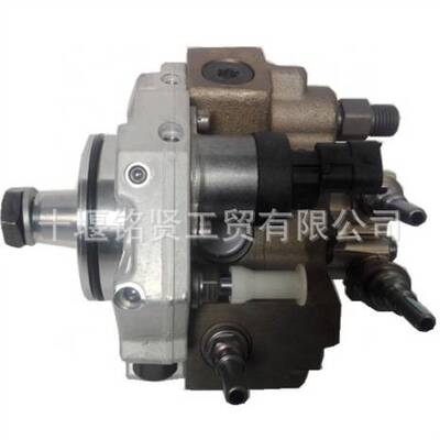 0445020065柴油燃油泵CP3共轨泵 for玉柴G2100-1111100-A38