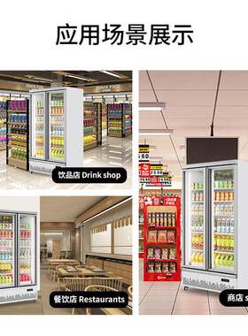 双开门饮905料冷藏展示柜冰一机立体式冰柜用商超市饮品箱保鲜柜
