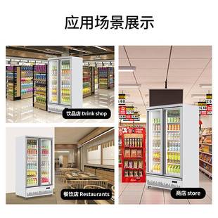 双开门饮905料冷藏展示柜冰一机立体式冰柜用商超市饮品箱保鲜柜