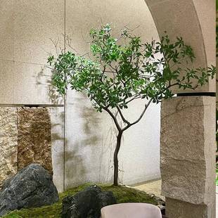 马醉木设马醉木绿植造景仿植真窗假绿装饰室内大型景梯观仿真树楼