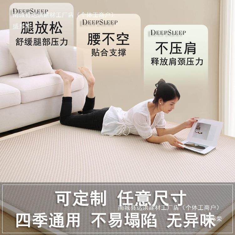 榻榻海地垫子打地铺炕垫HEY铺毯四季通用子褥软垫绵米垫床垫秋冬