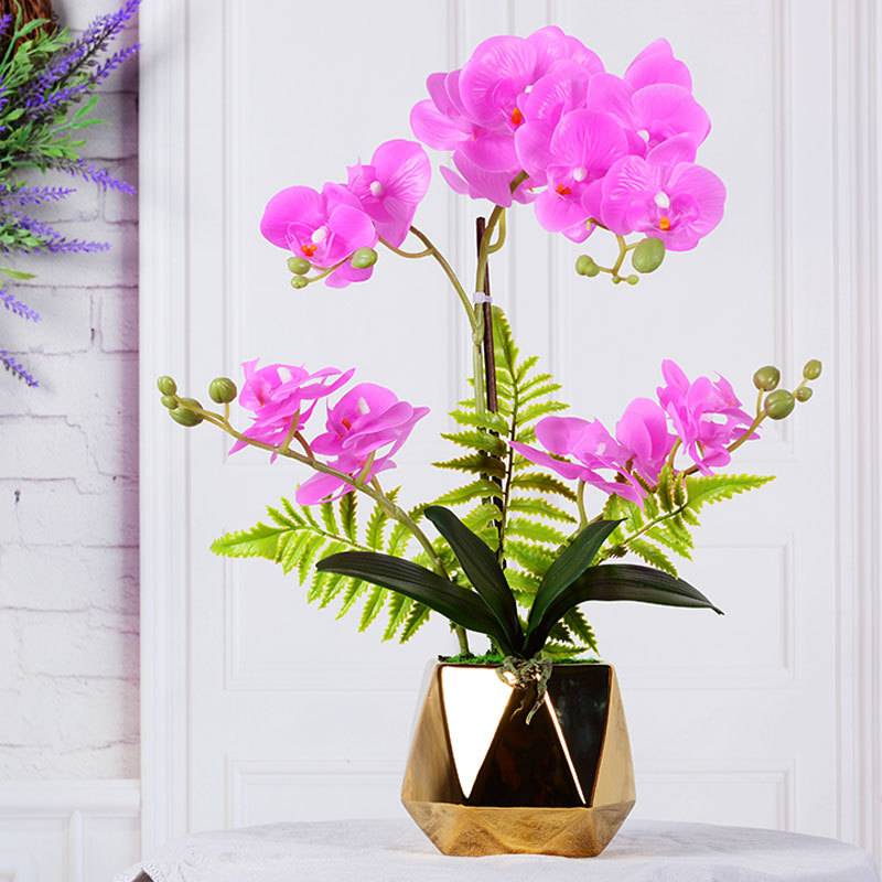 家居装饰客厅摆件仿真花蝴蝶兰盆栽套装花艺手感仿真植物假花盆景
