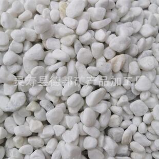 白石子384白 景观用卵白石 园林铺路白白石米 色鹅卵石 枯山水石